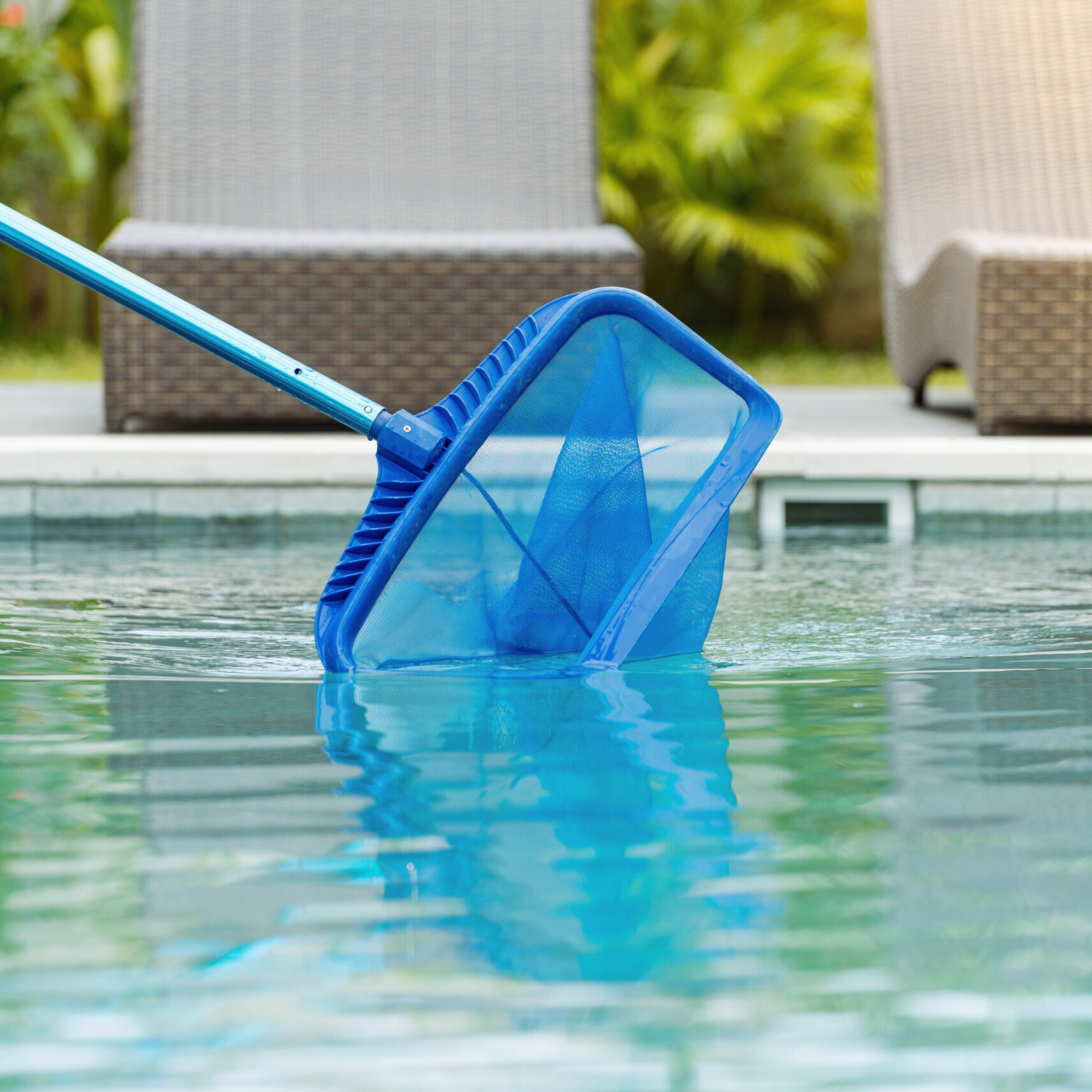 Cleaning,Swimming,Pool,Of,Fallen,Leaves,With,Skimmer,Net,Equipment
